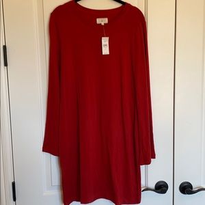 NWT tunic dress